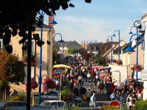 bric-a-brac_la-chapelle-saint-aubin_5