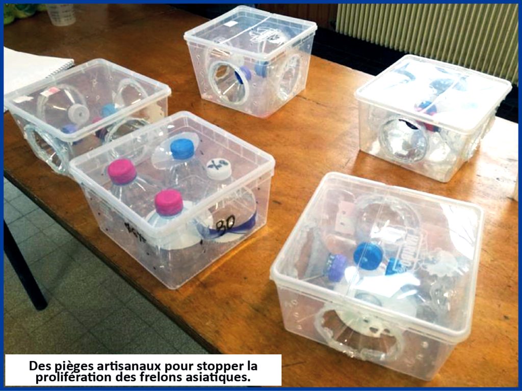 Piege Frelon Asiatique, Piege A Guepes Et Frelons Exterieur À