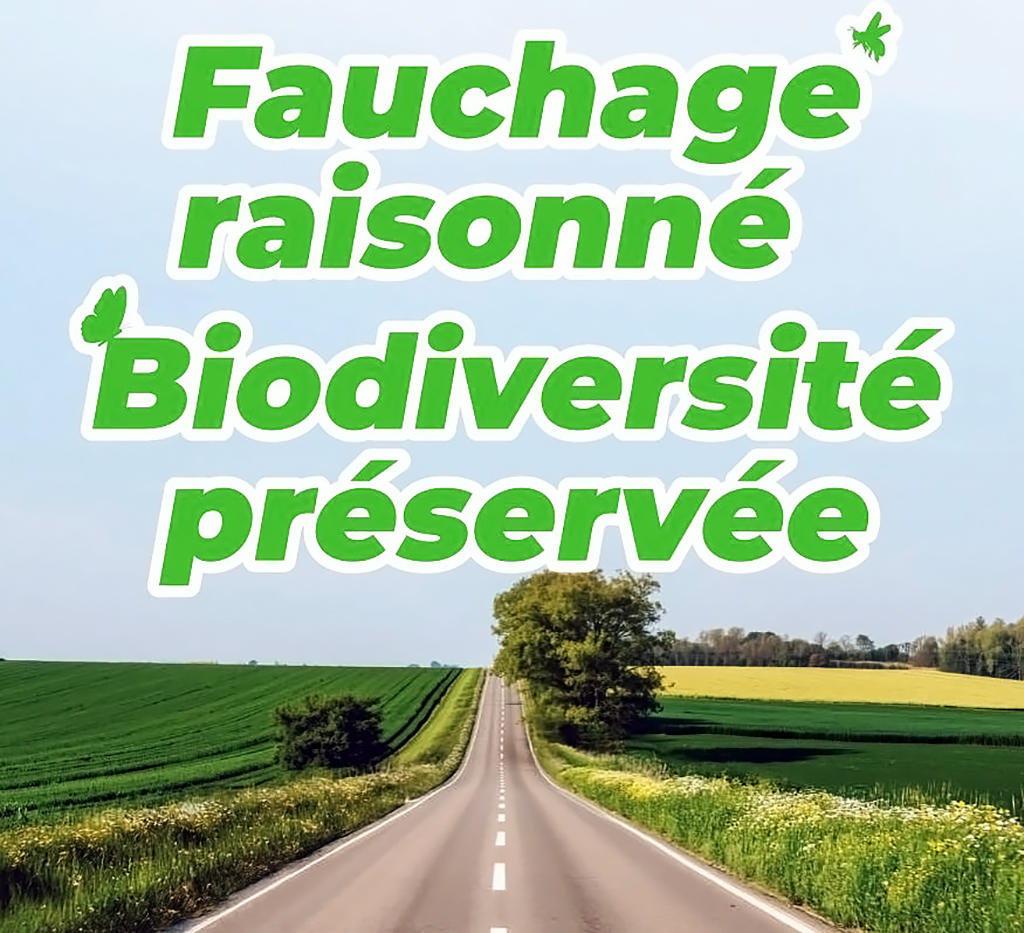 Dernières actualités en bref
